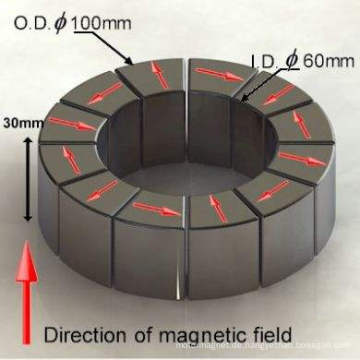 starkes seltenes erde neodym magnete Halbach Array